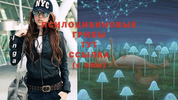 mix Алексин