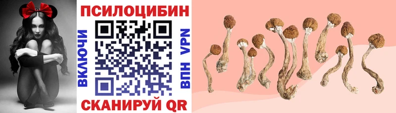 Галлюциногенные грибы Cubensis Родники